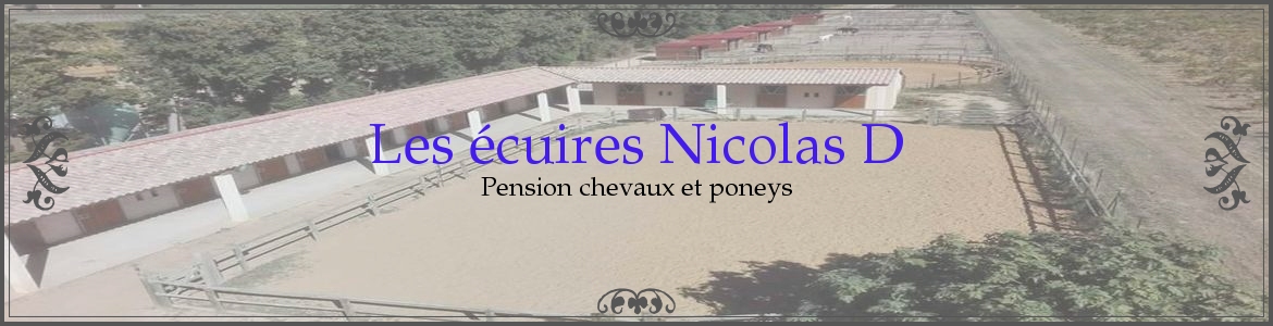 Les écuires Nicolas D